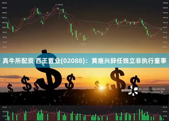 真牛所配资 西王置业(02088)：黄继兴辞任独立非执行董事