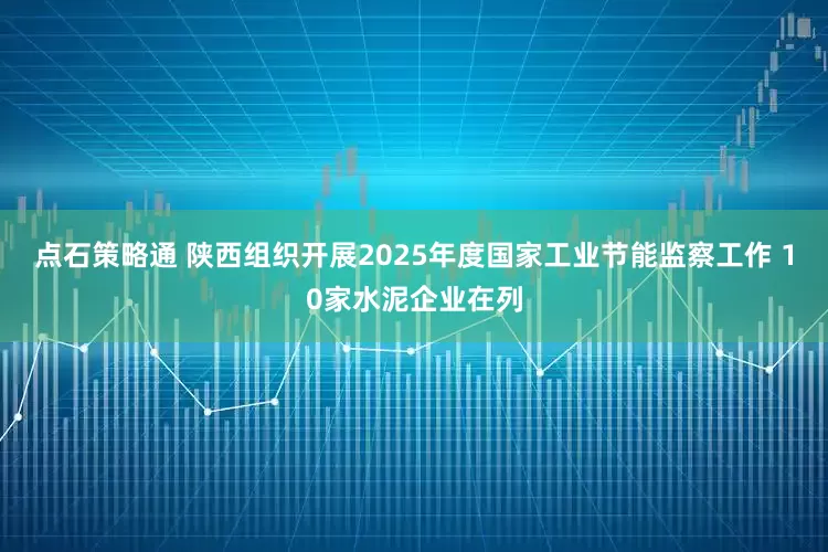 点石策略通 陕西组织开展2025年度国家工业节能监察工作 10家水泥企业在列