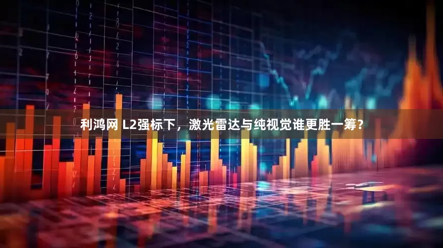 利鸿网 L2强标下，激光雷达与纯视觉谁更胜一筹？