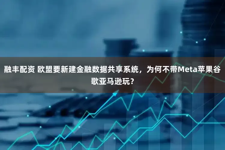 融丰配资 欧盟要新建金融数据共享系统，为何不带Meta苹果谷歌亚马逊玩？